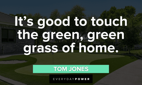 Green grass Quotes