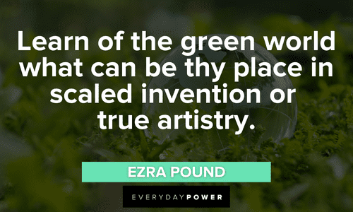 Green Quotes about the world
