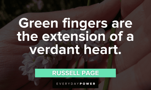Green fingers Quotes
