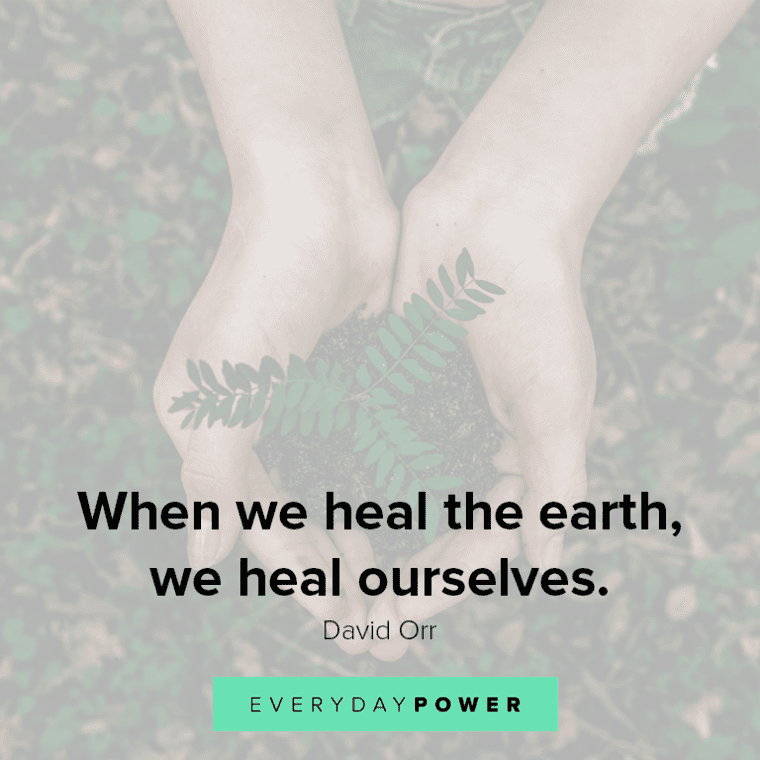 Healing quotes about the earth