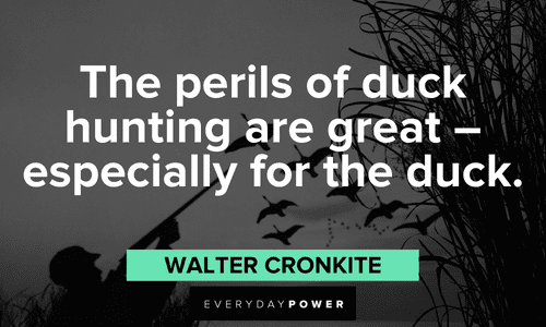 Duck Hunting Quotes