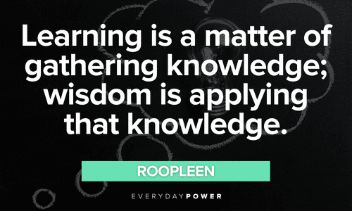 Learning Quotes about gathering knowledge