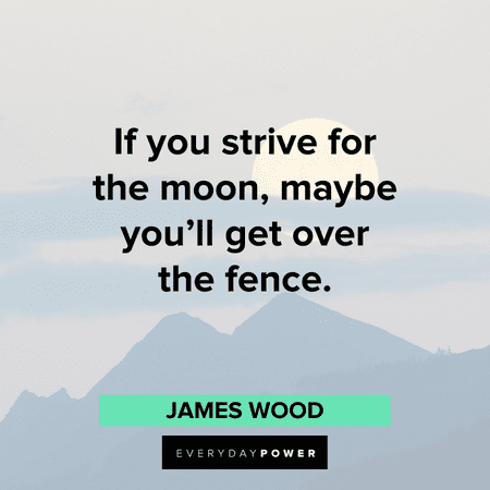 strive for the Moon quotes