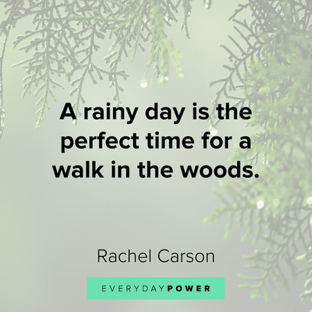 positive Rainy Day Quotes