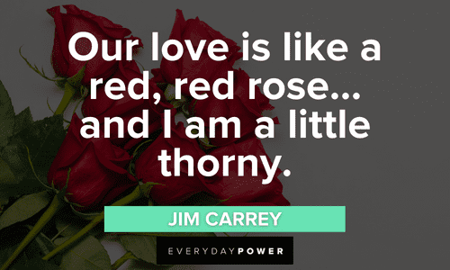 Color Red Quotes about love