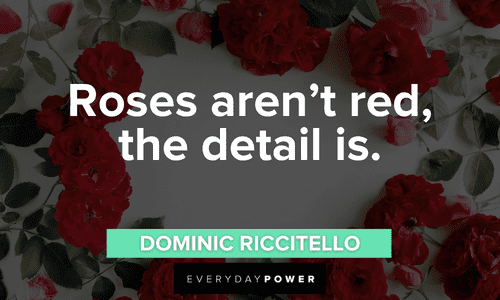 Red Quotes about roses