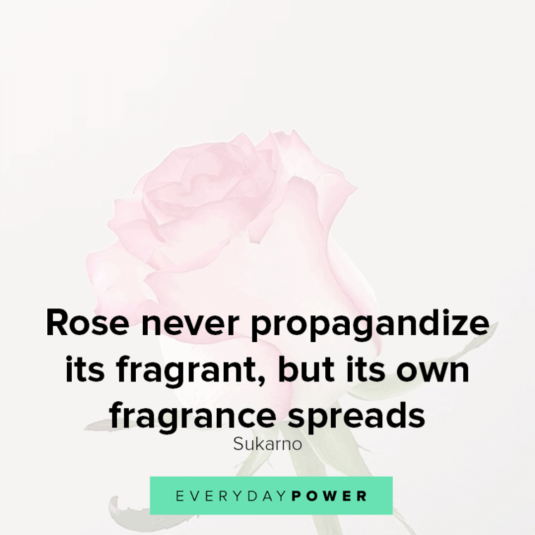 Rose quotes about fragrance