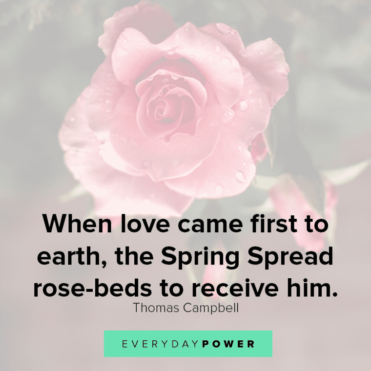 Rose quotes and sayings about love