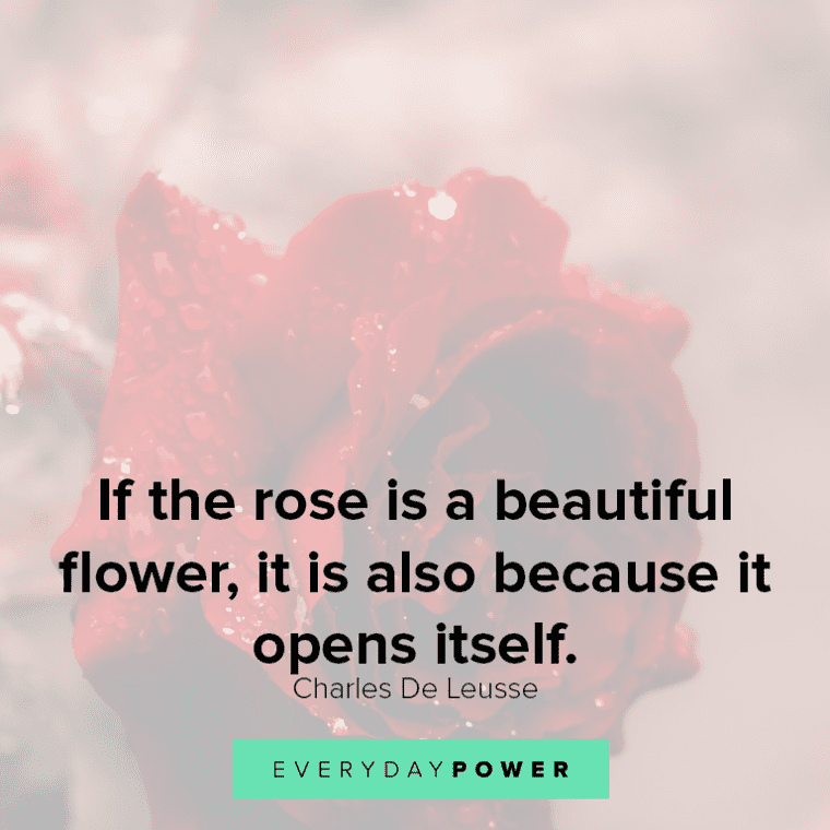 beautiful Rose quotes