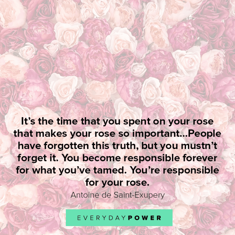Rose quotes and sayings to inspire you