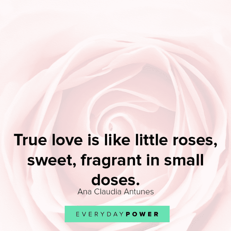 Rose quotes about true love