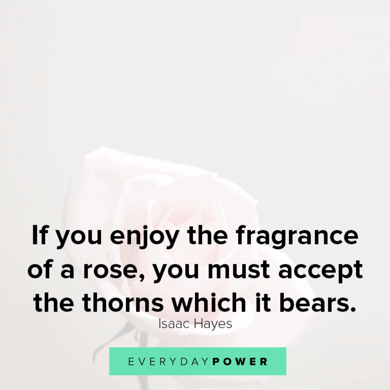 fragrance of a Rose quotes