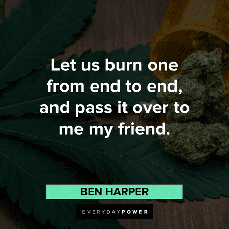 stoner quotes that will make your day