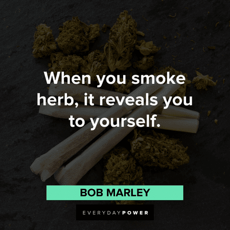 stoner quotes about smoking the herb