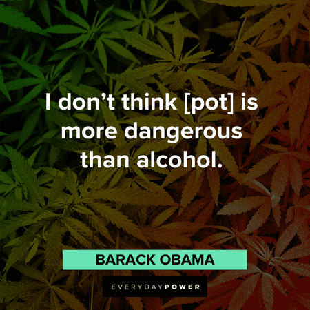 141 Stoner Quotes For The Next Time You Indulge