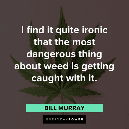 stoner quotes about getting caught with weed