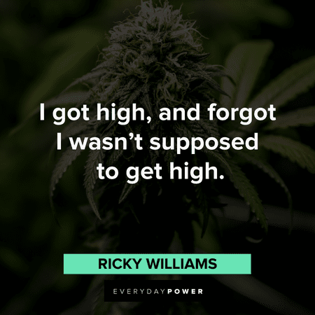 stoner quotes about getting high