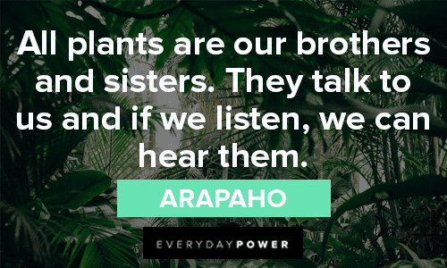 native american quotes on nature