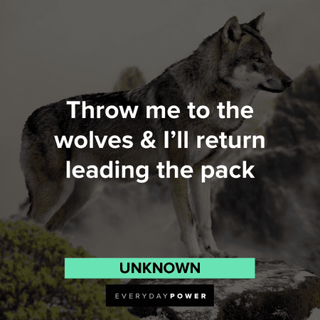 pack of Wolves Quotes