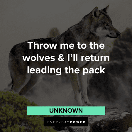 137 Wolf Quotes, Sayings and Proverbs Celebrating Your Instinct (2023)