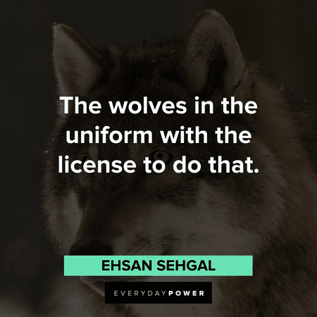 sarcastic Wolf Quotes