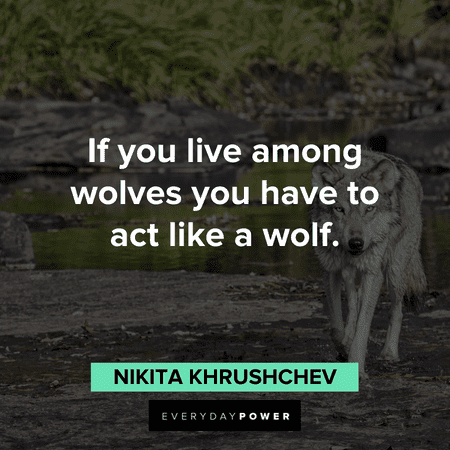 Wolves Quotes and sayings