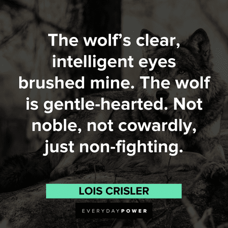 Wolf Quotes about their intelligence