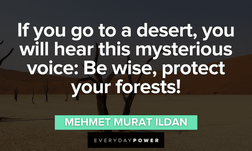 Forest quotes about protection