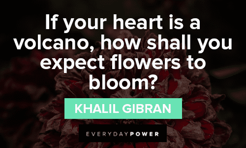 heart touching bloom quotes