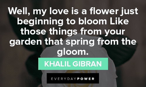 bloom quotes about spring