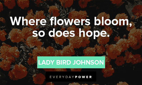 bloom quotes for filling up your hope