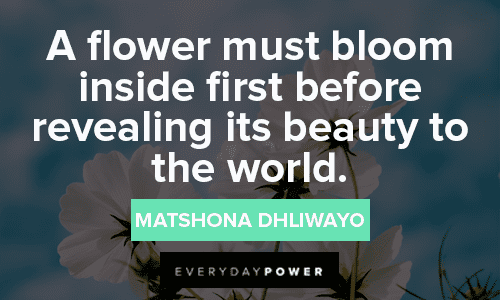 revealing beauty of a flower bloom quotes