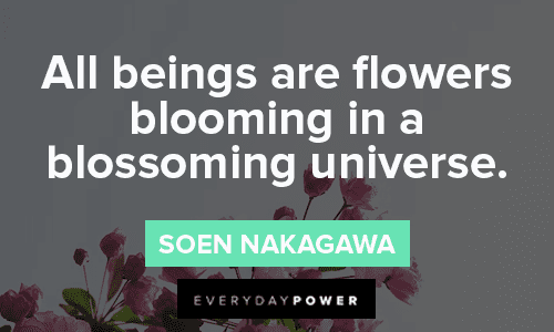 flower blooming quotes