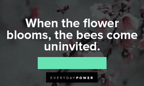 bloom quotes for uninvited bees