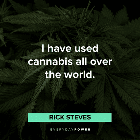 stoner quotes about cannabis