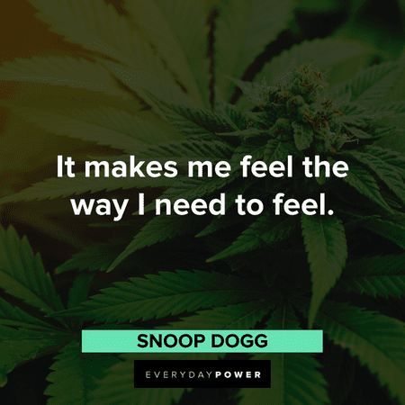 stoner quotes for your Instagram captions