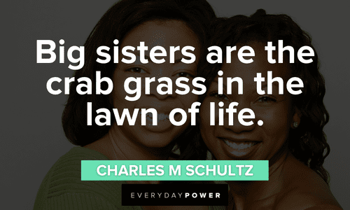 Funny big Sister Quotes