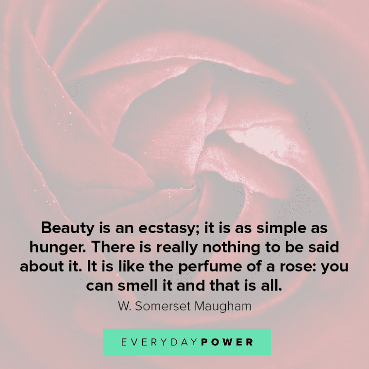 Rose quotes about beauty