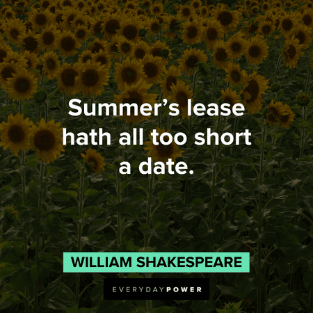 short August quotes about summer