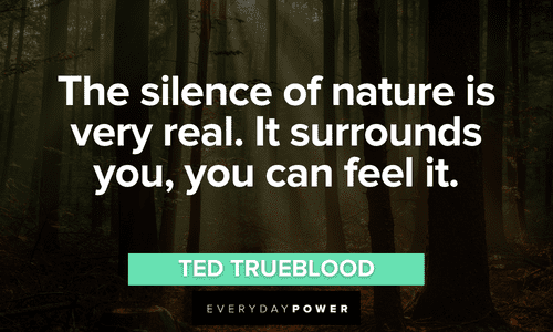 Forest quotes about the silence of nature