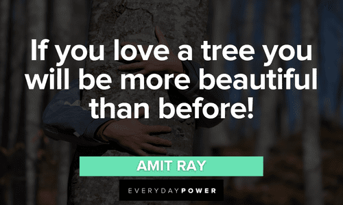 Forest quotes about trees