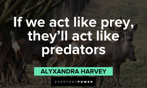 Hunting quotes about predators and prey