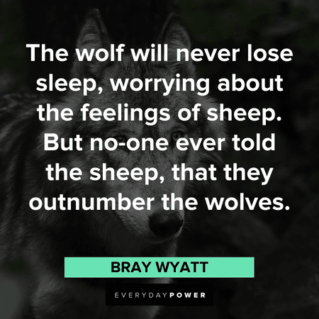 sheep and Wolf Quotes