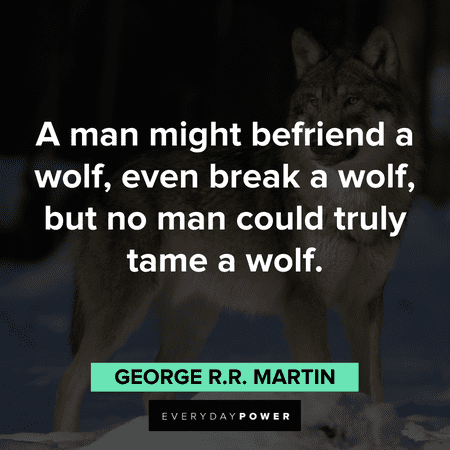 Wolf Quotes to inspire and teach
