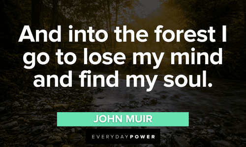 Forest quotes and sayings