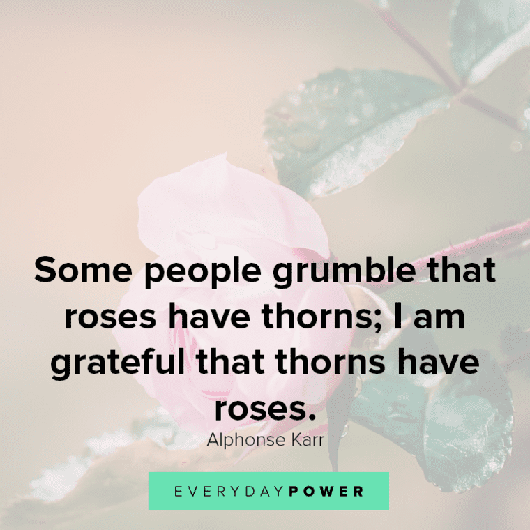 Rose quotes about gratitude