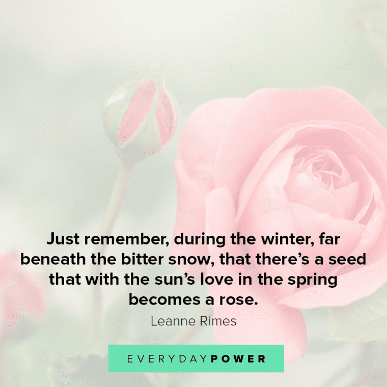 Rose quotes about spring