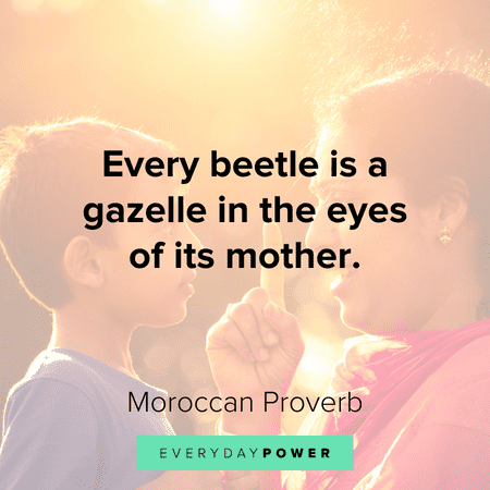 lovely Mother and Son Quotes