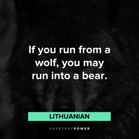 funny Wolf Quotes that will make your day