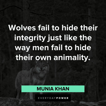 Wolf Quotes about integrity